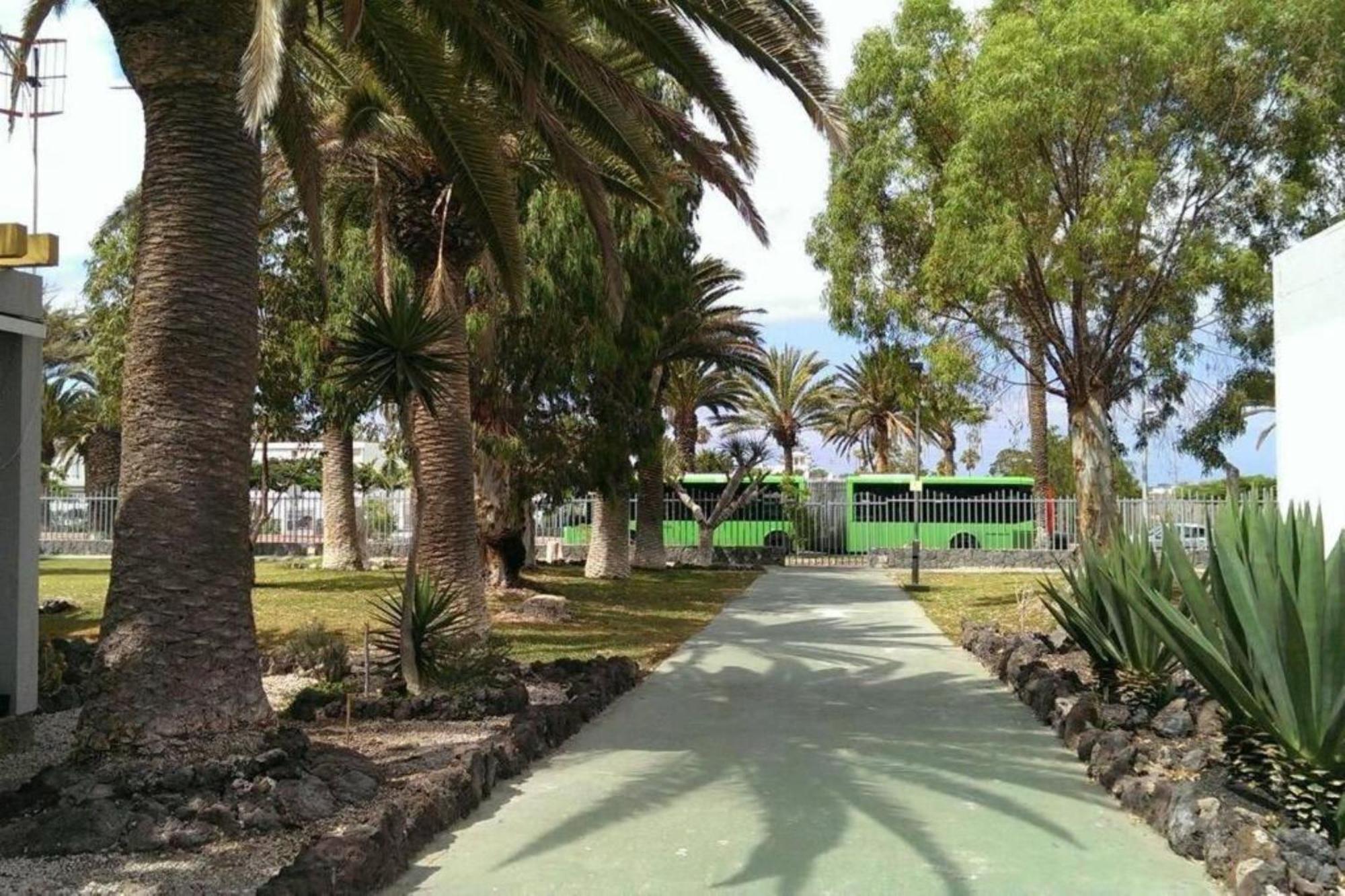 Papagayo Beach Apartments Arona  Bagian luar foto