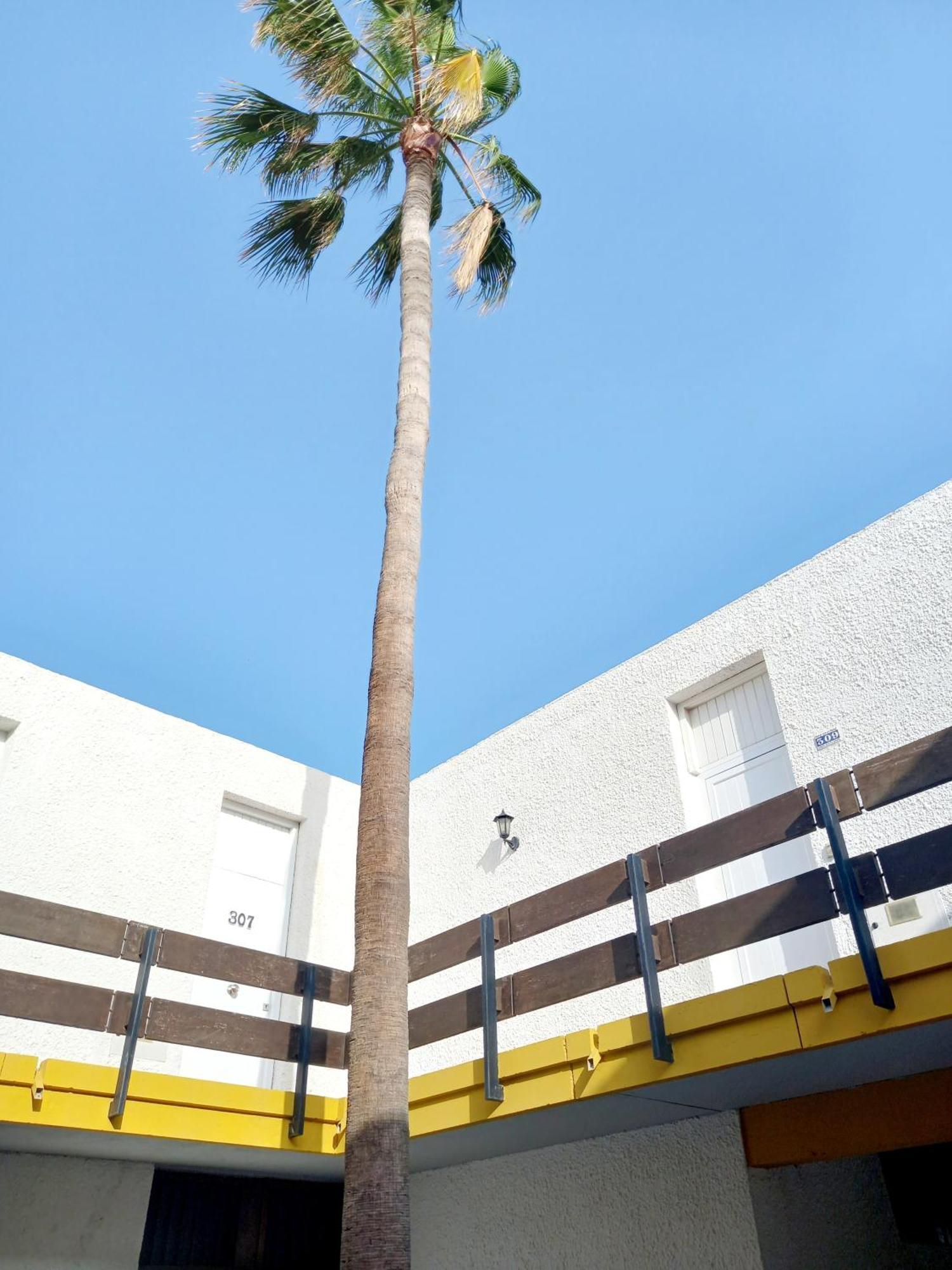 Papagayo Beach Apartments Arona  Bagian luar foto